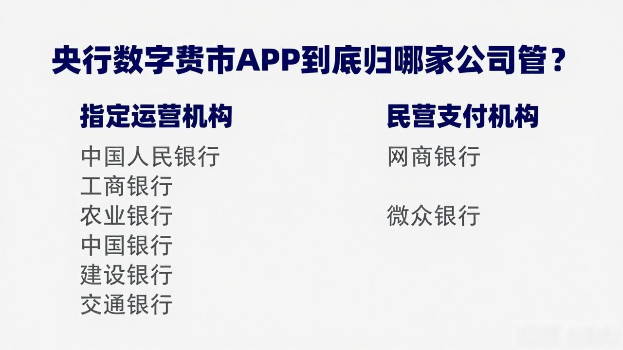 央行数字货币app是哪个公司_央行数字货币_数字人民币双层运营体系